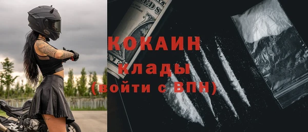 трава Бородино