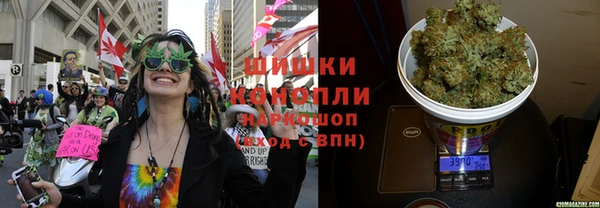 трава Бородино